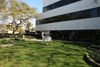 5. Park