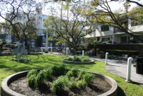 7. Park