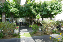 13. Courtyard