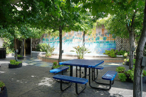 11. Courtyard