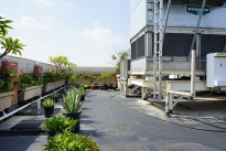 65. Rooftop