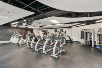 35. Gym