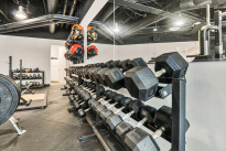 38. Gym