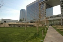 11. Back Exterior