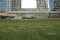 12. Back Exterior