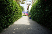 10. Courtyard