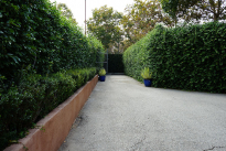 11. Courtyard