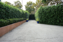 12. Courtyard