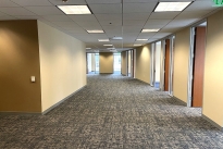 141. Suite 530