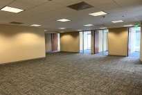 145. Suite 530