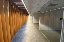 231. Suite 800