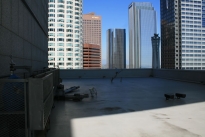 320. Penthouse Roof
