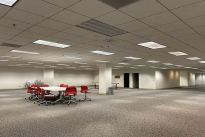 25. Basement Suite 100