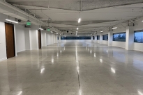 25. Suite 280