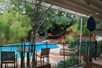 38. Backyard Pool