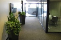 Manhattan Plaza