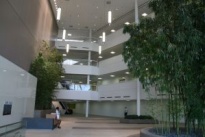 Park Place