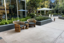 42. Plaza Courtyard