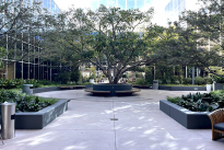 39. Plaza Courtyard