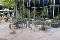 41. Plaza Courtyard