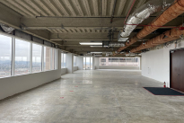 550 North Brand