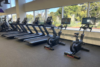 78. Gym