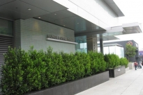 3. Exterior