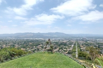 61. Backyard