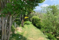68. Backyard