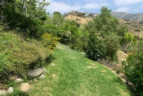 69. Backyard