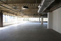 21. Suite 250