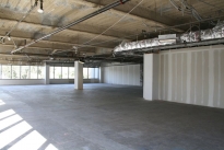 22. Suite 250