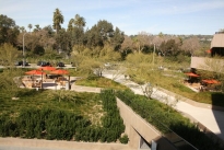 24. Suite 250