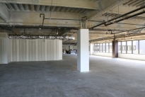20. Suite 250