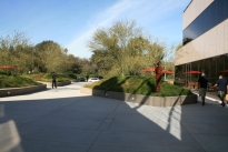 7. Plaza
