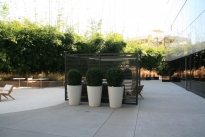 11. Lower Plaza